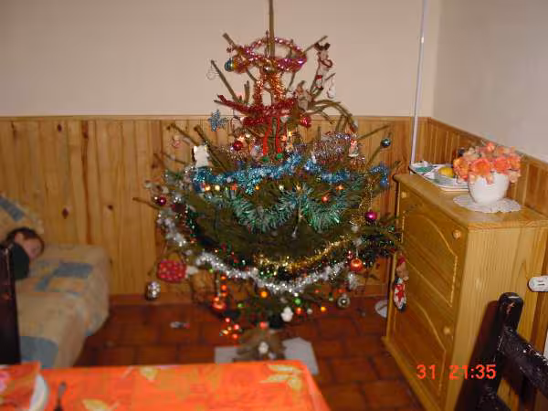 Sapin de noel