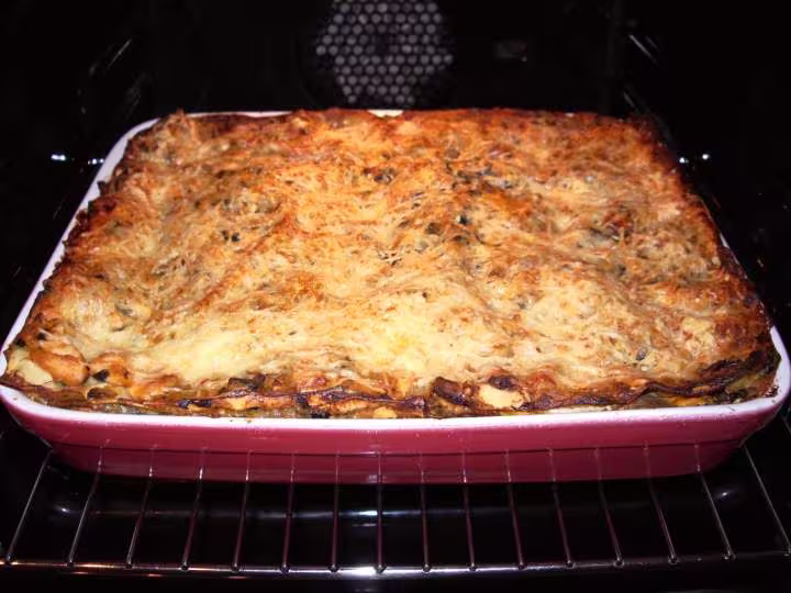Lasagne saumon blettes champignons