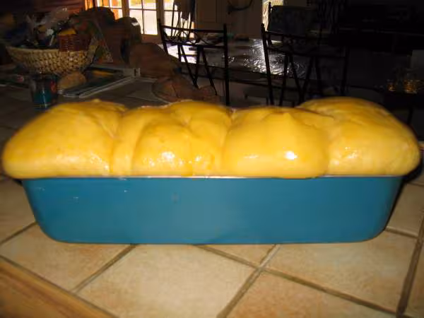 Brioche levee