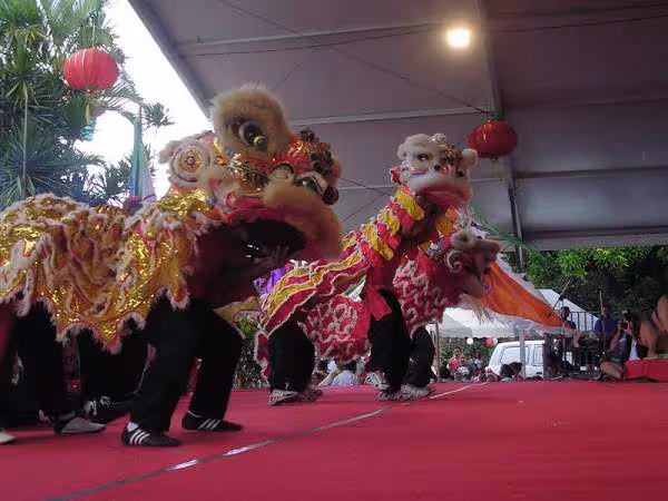 Danse dragon2