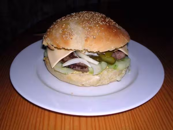 Hamburger