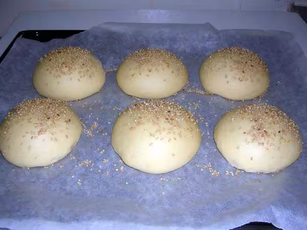 Hamburger1