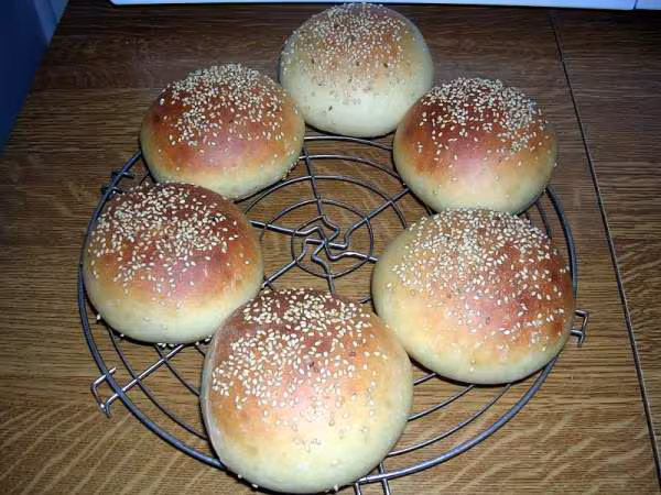 Hamburger2