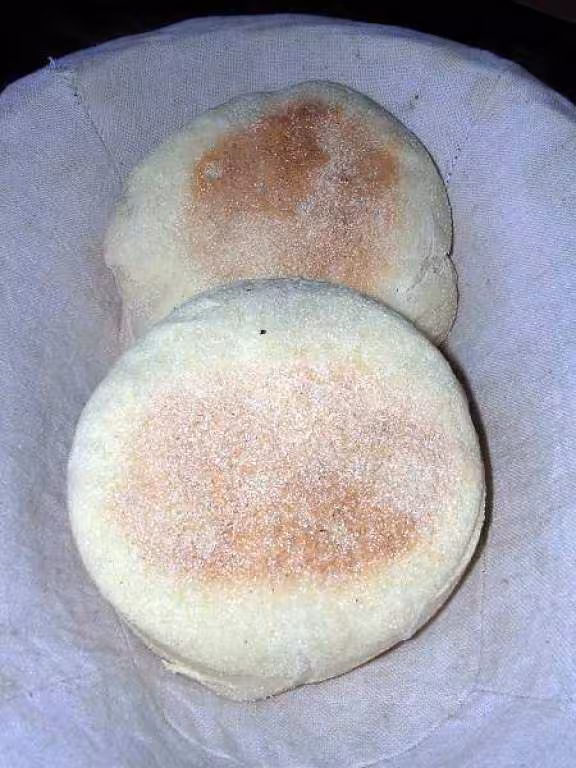 Muffin s geants2