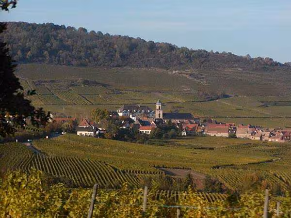 Route du vin