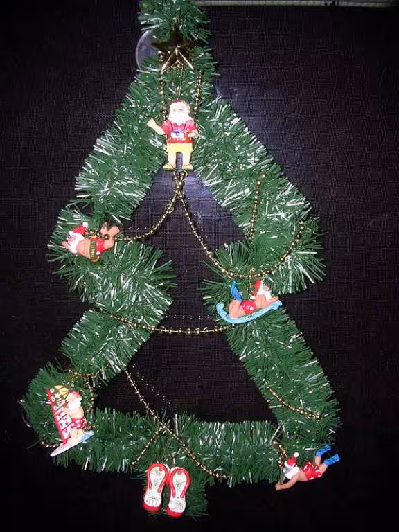 Sapin tahiti