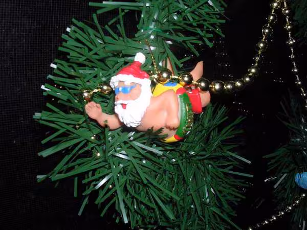 Sapin tahiti details1