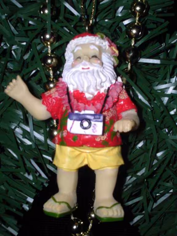 Sapin tahiti details4