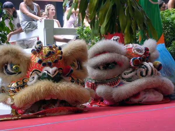 Tetes de dragon