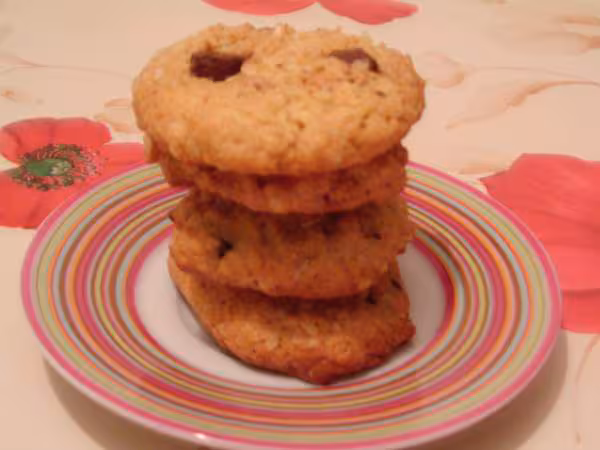 Biscuit pepites chocolat et flocons d avoine