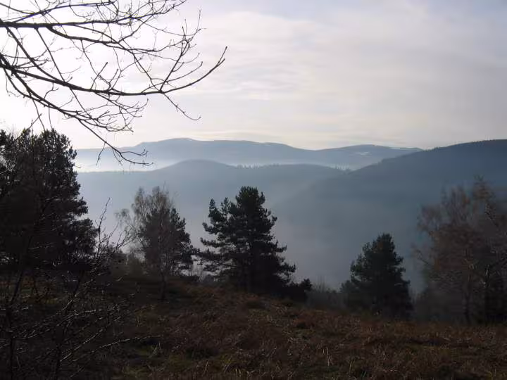 Les vosges au mois de fevrier