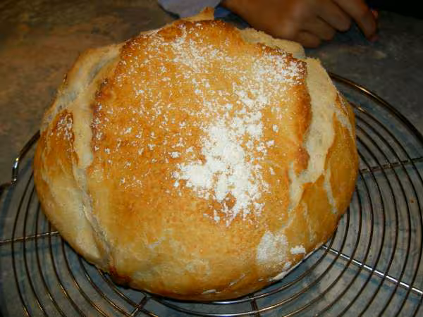 Miche cocotte