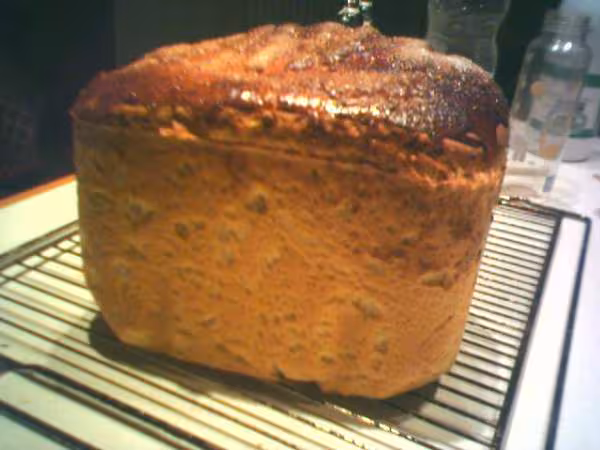 Brioche