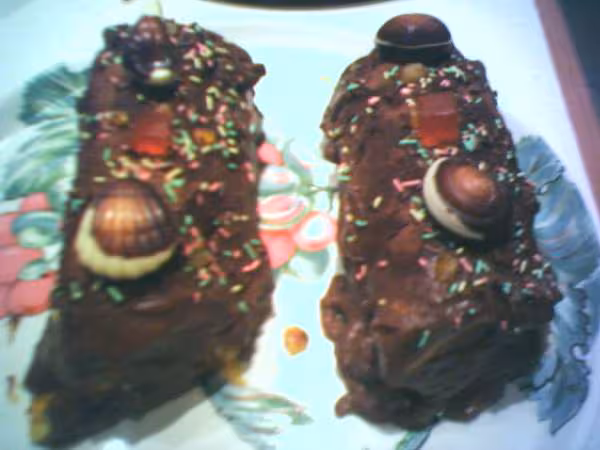 Buche