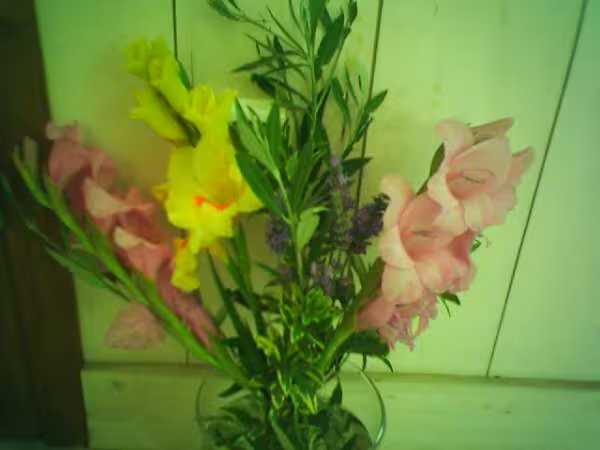 Fleurs