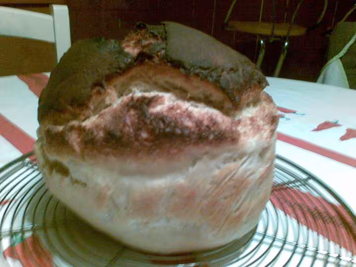 Levain