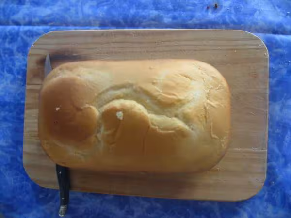 Ma premiere brioche