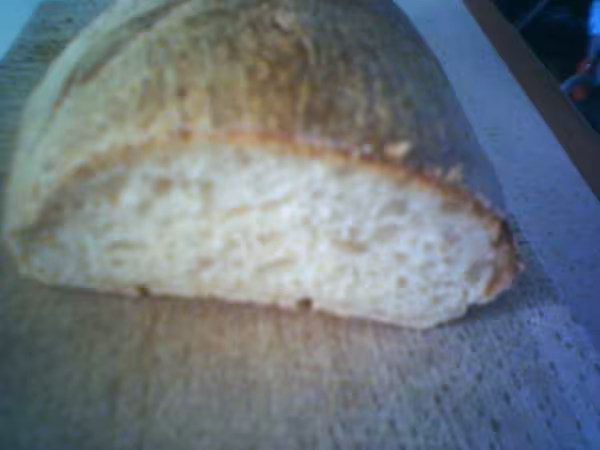 Pain frigo