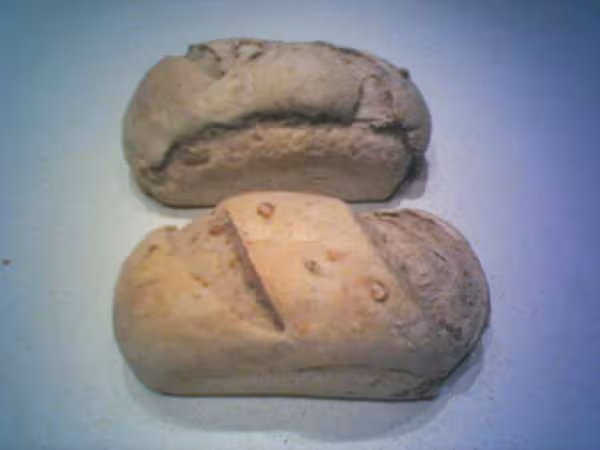 Pain noix levain