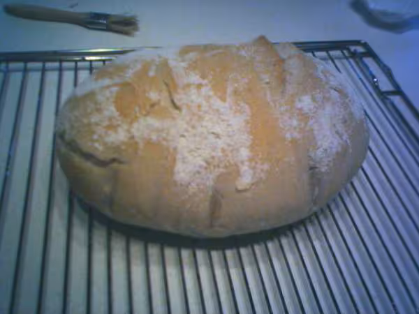 Pain tout levain