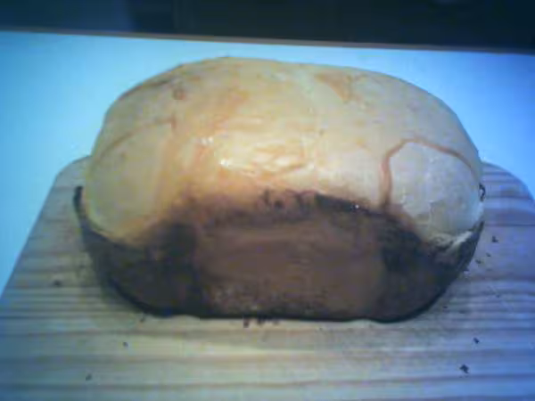 Pain viennois