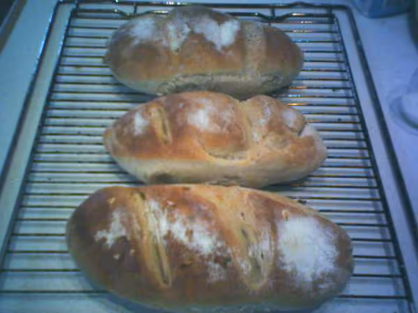 Petits pains levain