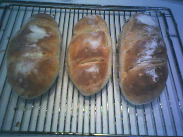 Petits pains levain