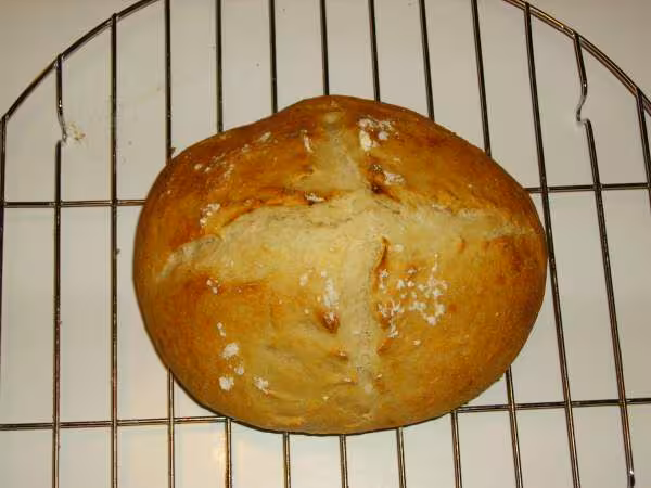 Pain pate fermentee