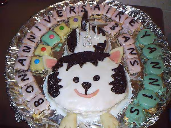 Gateau chat