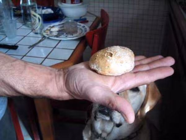 Petit pain aux cereales