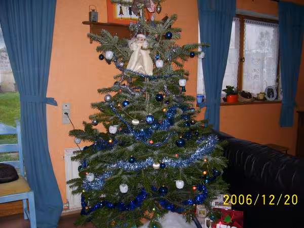 Sapin 2006