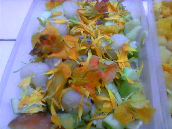 Salade de fruits et de fleurs2