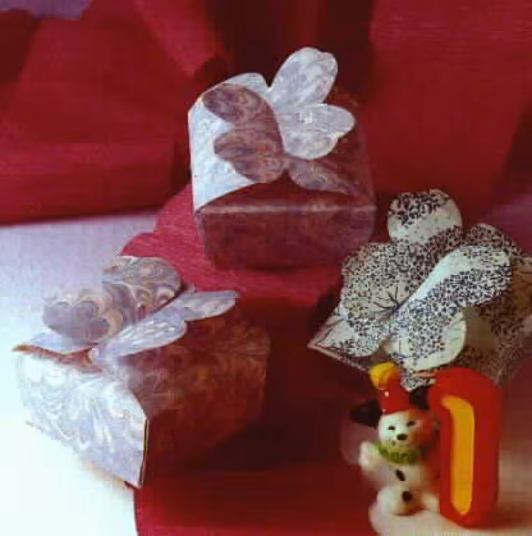 Boite papillons