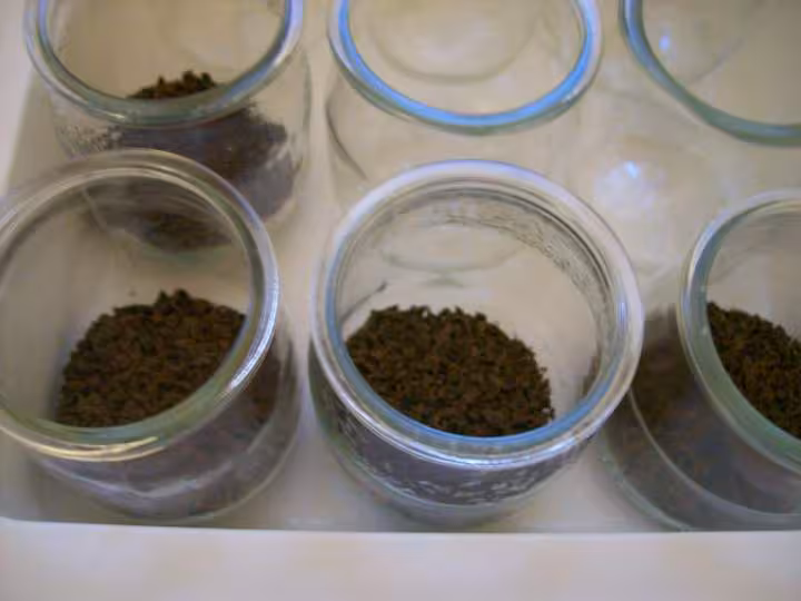 Yaourt chocolat 1