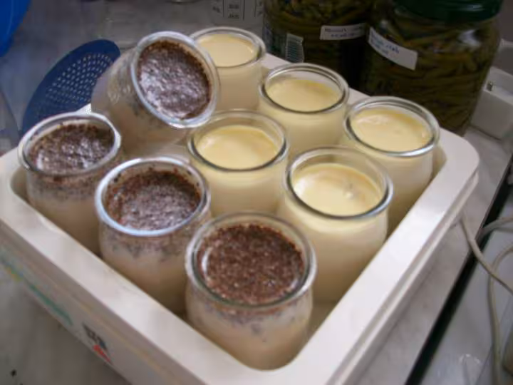 Yaourt chocolat 3
