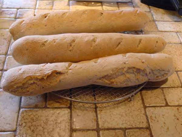 Baguettes levain et farines ald