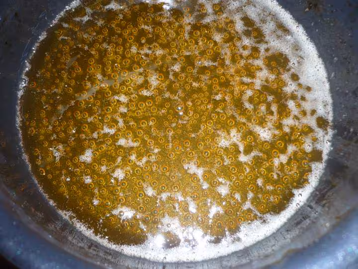 Douillons aux pommes caramel aux eclats de noisettes