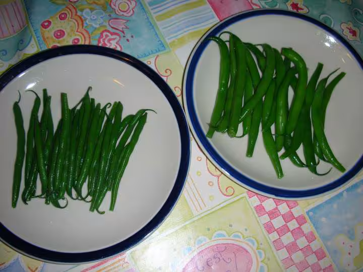 Test haricots