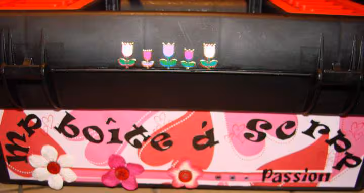 Boite cortaline dos