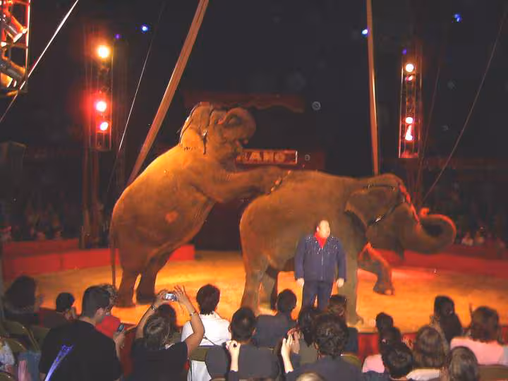 Cirquemedrano2cortaline