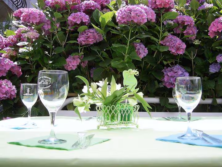 Deco annif cortaline