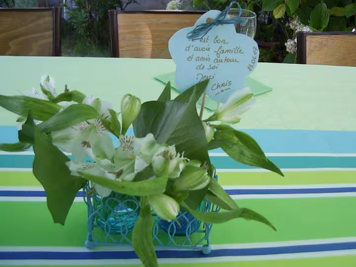 Deco annif cortaline