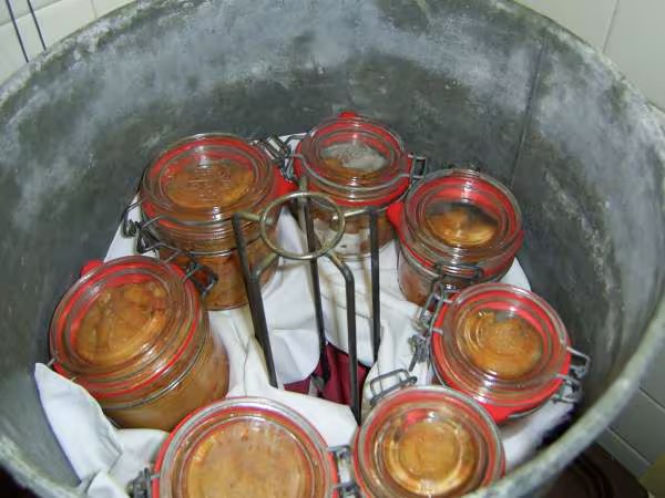 Foie gras