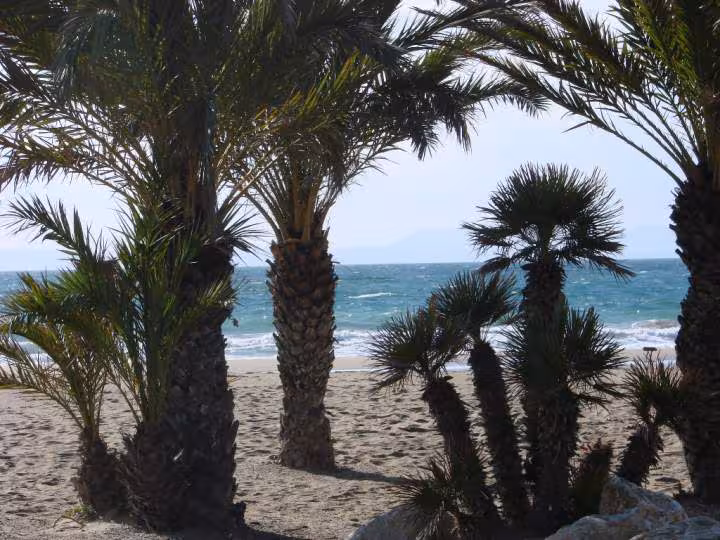 Plage