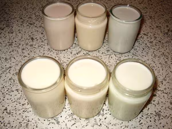 Assortiment de yaourts au sirop 3