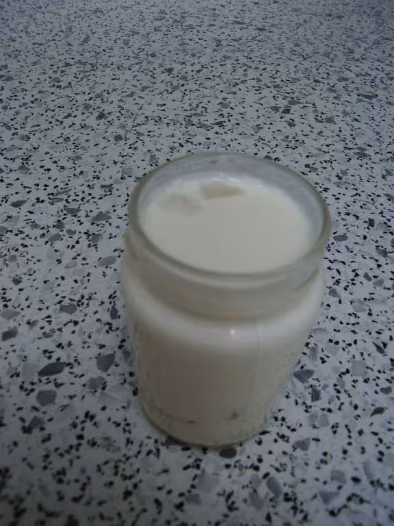 Yaourt a la poire 2