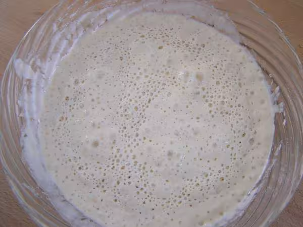 Mon premier poolish