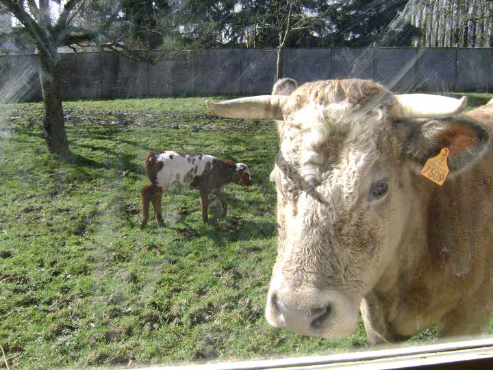 La vue depuis mon bureau 1