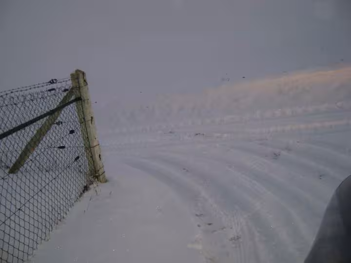 Neige