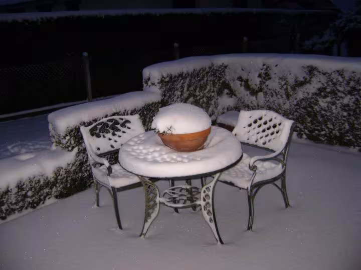 Neige 07 01 2010
